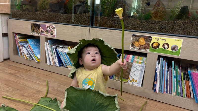 연잎이랑 놀아요-경산사동큰나무어린이집260805